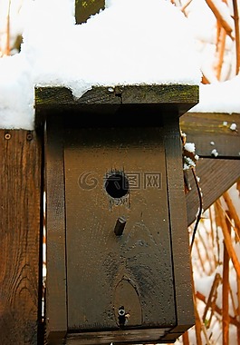 鳥舍,雪,冬天