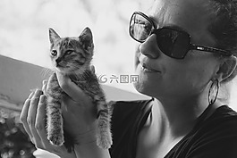 貓,小貓,貓寶貝