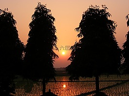 日落,金色的夕阳,景观