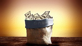 袋,dollar,錢