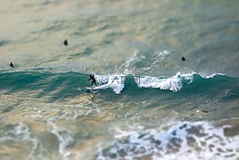 冲浪,波,水