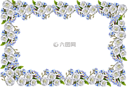 幀,雛菊,別忘了我