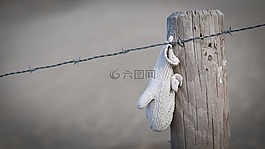 海灘,冬天,手套