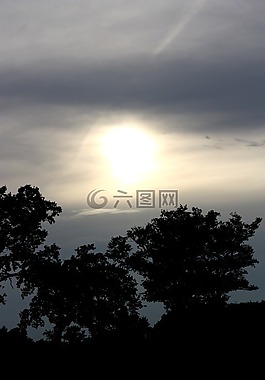 剪影,月球,光