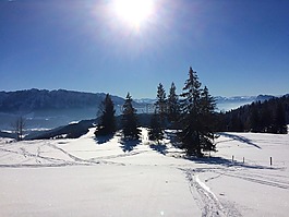 冬天,太陽,雪