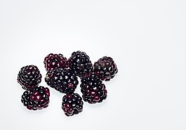 漿果,水果,黑莓