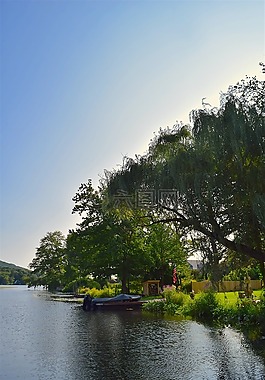 湖,日出,樹