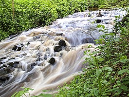 過獨(dú)身生活,水,景觀