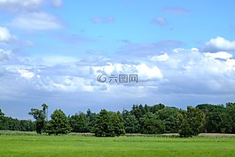 林間空地,綠色,森林