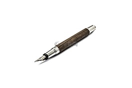 鋼筆,筆,stylograph