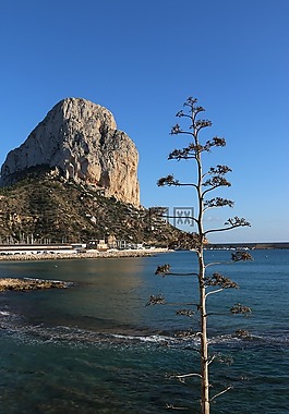 西班牙,海,巖