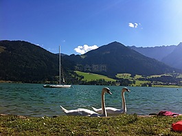 walchsee,湖,奧地利