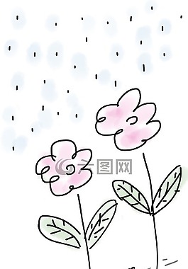 鮮花,雨,螞蟻