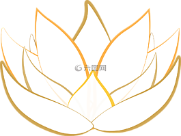 蓮花,透明,開花