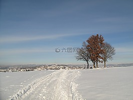 冬天,雪,冬季魔術(shù)