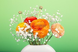鮮花,毛茛屬植物,花束