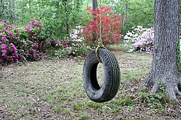輪胎秋千,杜鵑花,后院