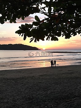 日落,海灘,家庭