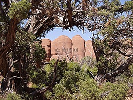 拱门国家公园,山,红色
