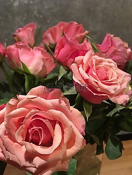 玫瑰,鮮花,花束