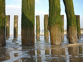 domburg,性质,海