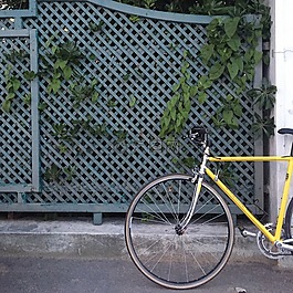 自行車,車輪,體育