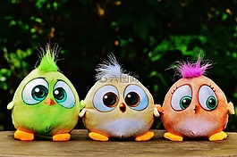 鳥(niǎo)類(lèi),小鳥(niǎo),毛絨