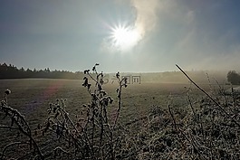 太阳,冬天,景观