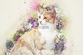 貓,動物,鮮花