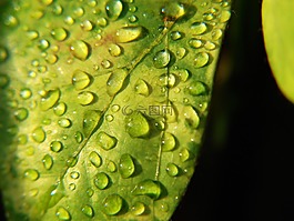 水滴,滴,水