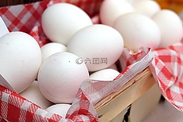 蛋,煮雞蛋,早餐