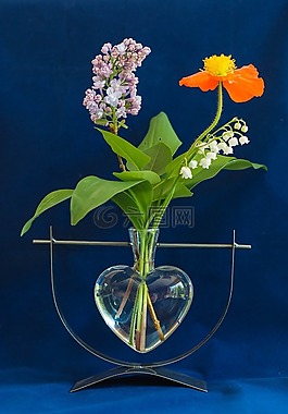 鲜花,花瓶,插花