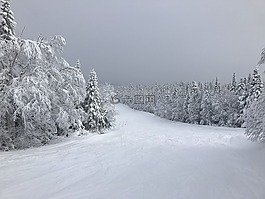 雪,滑雪,山