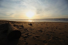 海灘,沙,日落