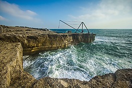 海洋,海岸,珊瑚礁