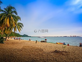 海灘,自然,戶外