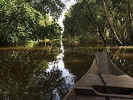 自然,越南,農(nóng)村
