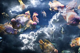 魚,云,構成