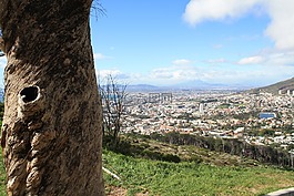 開普敦,南非,桌山