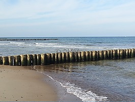 波羅的海,warnemünde,海鷗
