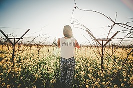人,女性,女孩
