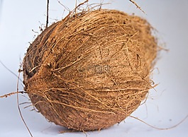 椰子,干,食品