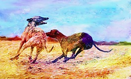 藝術,藝術家,創意