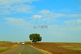 景观,人工林,性质