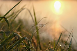 日出,上午,太陽
