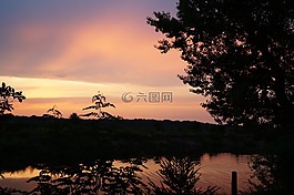 日落,水,樹木