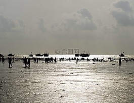 海灘,人,海洋
