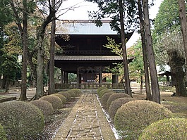 寺,门,秋季