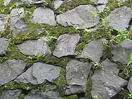 石頭,墻,苔