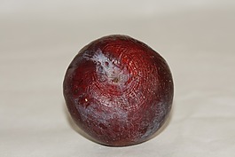 梅,水果,蓝色